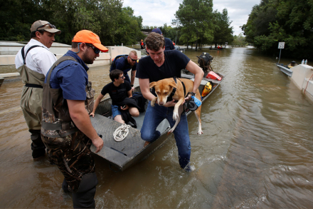 Harvey 2.jpg
