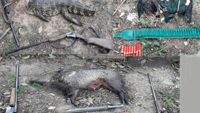 Cazadores atrapados llevando un yacaré, un pecarí y patos picazos