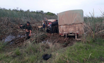 camion-con-maiz-(3).jpg