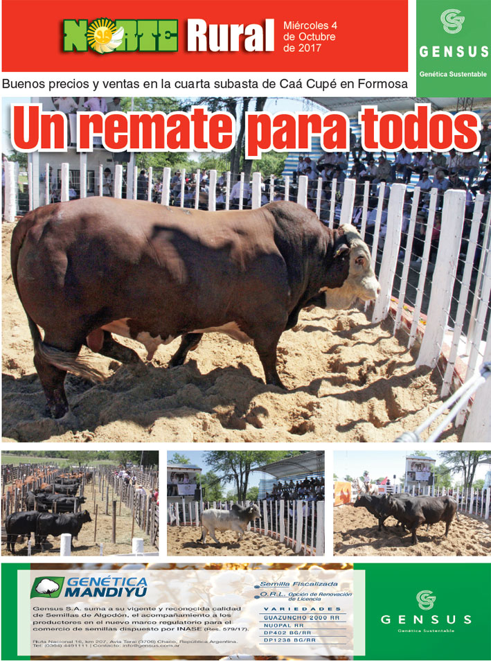 Un remate para todos