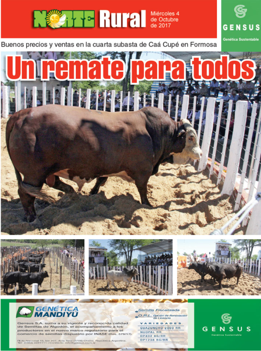 Un remate para todos