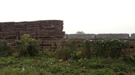 DURMIENTES-MADERA-(2).jpg