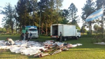 Gendarmería incautó gran cantidad de pescado trasportado ilegalmente