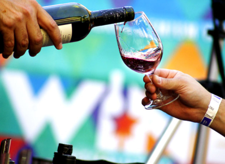 vino4.jpg