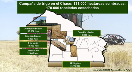 CHACOTRIGO2017.jpg