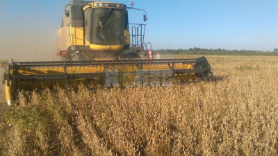 Cosecha anticipada del primer lote de soja en La Tigra con un promedio de