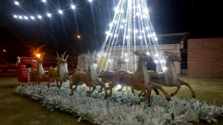 arbol2.jpg