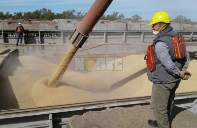 Colono sentirá el peso de la caída de la producción sojera