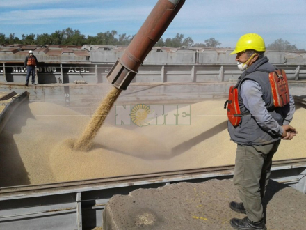 soja2.jpg