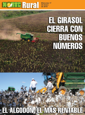 El girasol cierra con buenos números