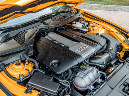 motor 4.jpg