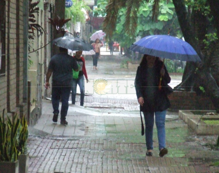 lluvia6.jpg
