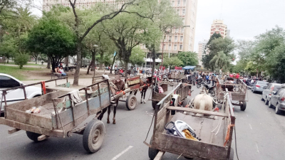 Un largo y caliente verano chaqueño