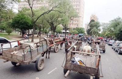 Un largo y caliente verano chaqueño