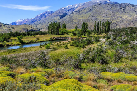 patagonia parque.jpg