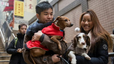 Se celebró la primera marcha de ‘perros salchicha‘ en Hong Kong