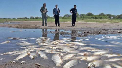 “La mortandad de peces ocurre más seguido de lo que se cree”