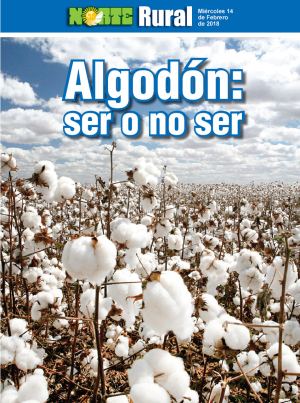 Algodón: ser o no ser