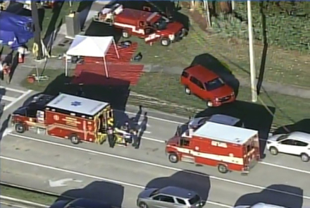 florida3.jpg
