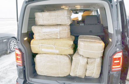 narco3.jpg