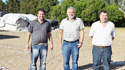 Buyatti, hace 20 años eligió a Las Breñas como centro de producción de algodón