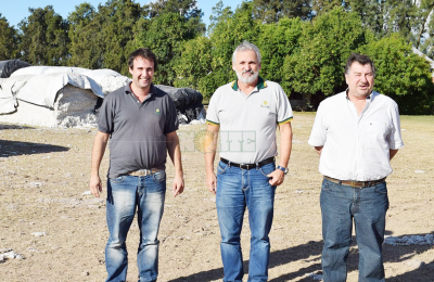 Buyatti, hace 20 años eligió a Las Breñas como centro de producción de algodón
