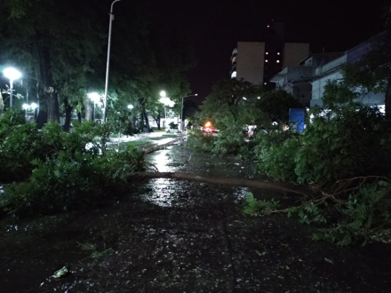 tormenta 4.jpg