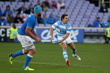Los Pumas.jpg
