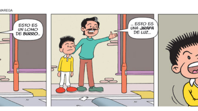 Nortín