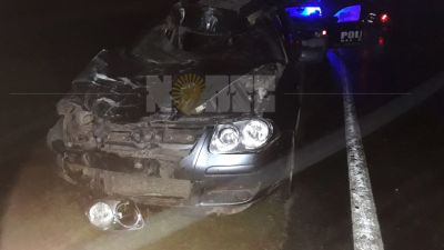 Grave accidente provocado por un caballo suelto en la ruta