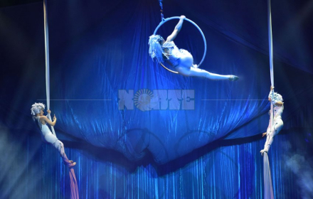circo9.jpg