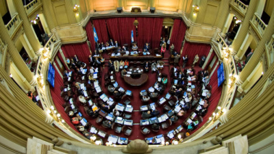 Expertos exponen mañana ante el Senado por la legalización del aborto
