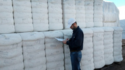 El Chaco emparejó la superficie santiagueña pero con 112 mil toneladas producidas menos