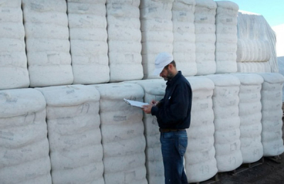 El Chaco emparejó la superficie santiagueña pero con 112 mil toneladas producidas menos