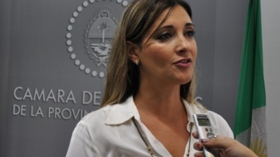 El hijo menor de la diputada Panzardi, uno de los 53 chaqueños afectados por gripe A