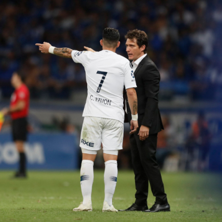 Pavón.jpg