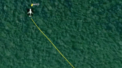 Un investigador dice haber encontrado al MH370 en una impenetrable jungla gracias a Google Maps