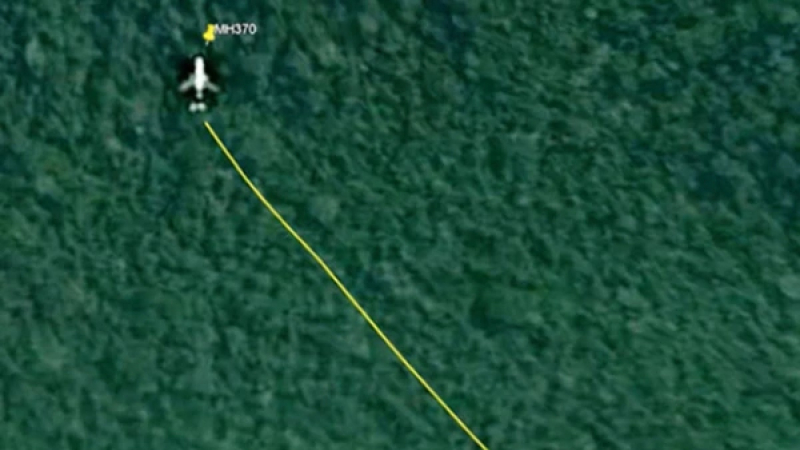 Un investigador dice haber encontrado al MH370 en una impenetrable jungla gracias a Google Maps