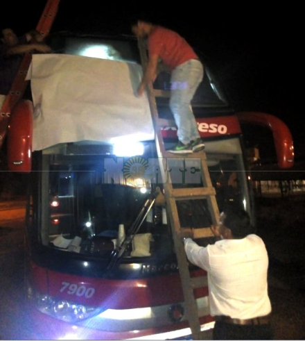 piedrazoo2.jpg