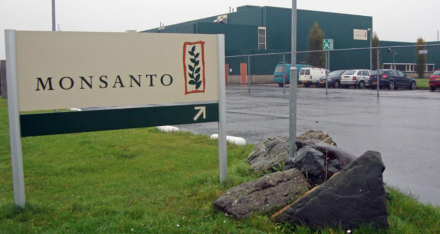 MONSANTO.jpg