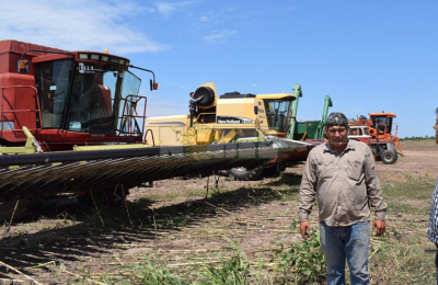 Productores evalúan no sembrar girasol en la próxima campaña