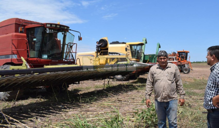 productores girasol.jpg