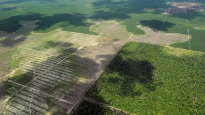 Recursos Naturales aclara sobre reclamo de ONGs