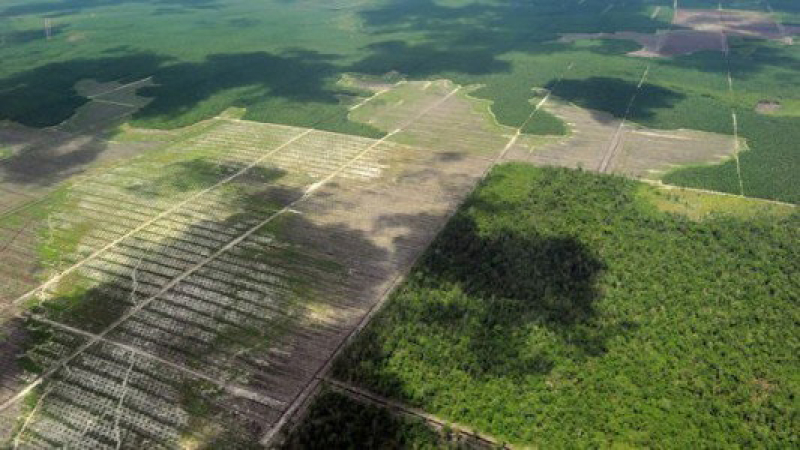 Recursos Naturales aclara sobre reclamo de ONGs
