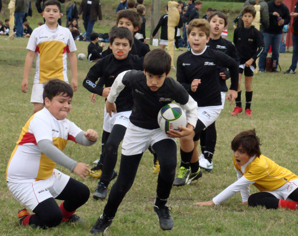 Torneo de rugby infantil en el Club de Regatas Resistencia. 07-07-18. Fabián Maldonado