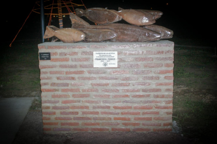 paseo2.jpg