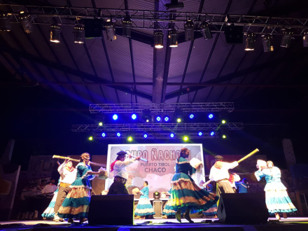 festival taninero.jpg