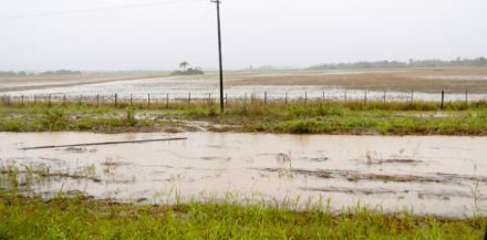 lluvias.jpg