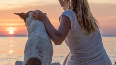 ¿Qué tenés que tener en cuenta para llevar a tu mascota de vacaciones?