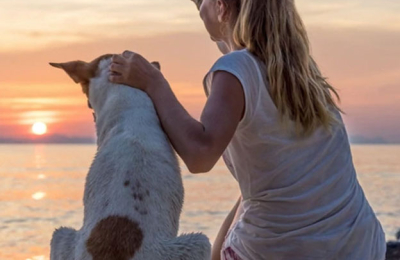 ¿Qué tenés que tener en cuenta para llevar a tu mascota de vacaciones?
